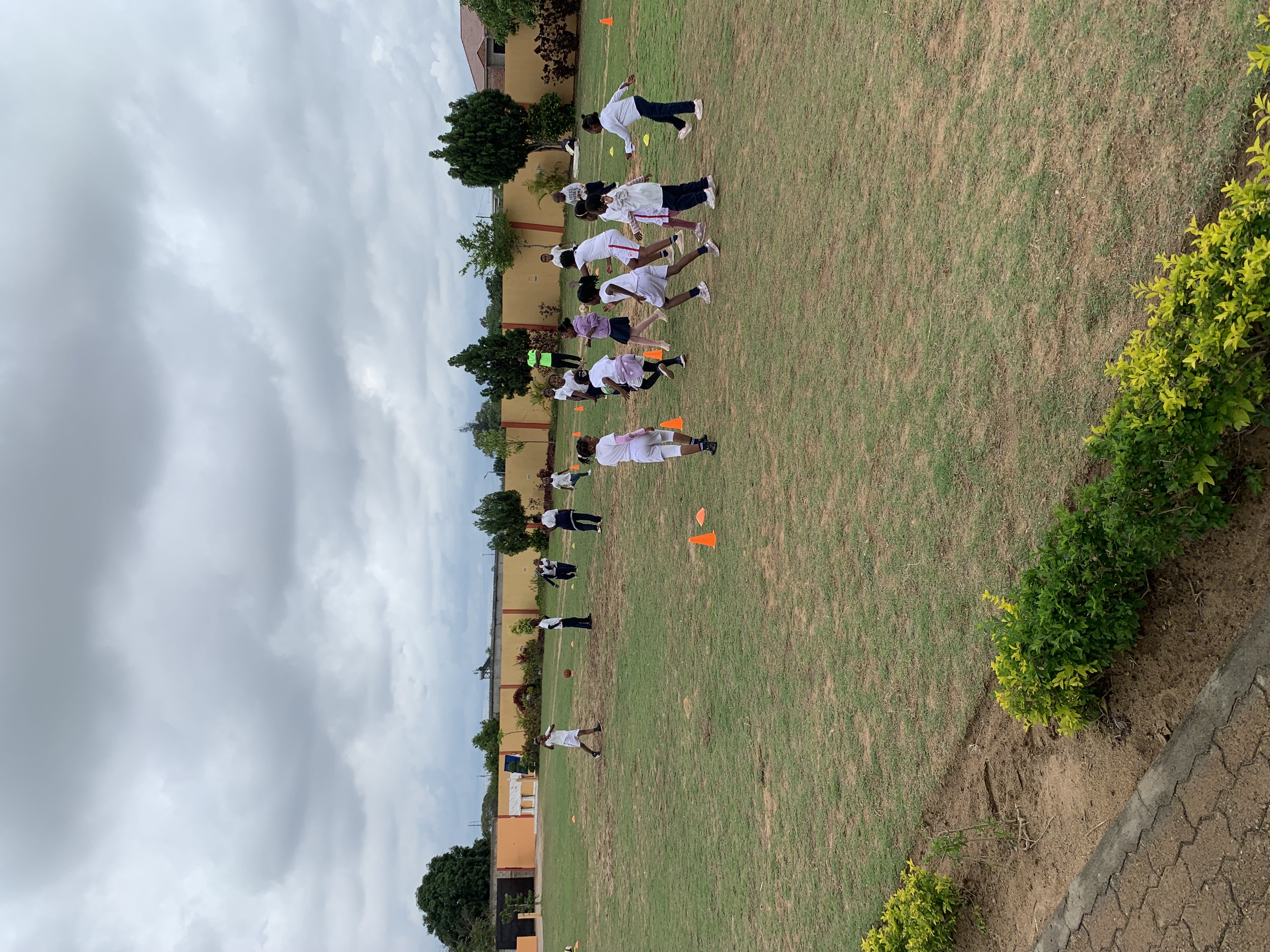 Imagem Pré-Primário — substituir